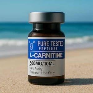 L-CARNITINE 500MG