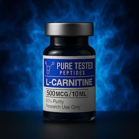 L Carnitine buy